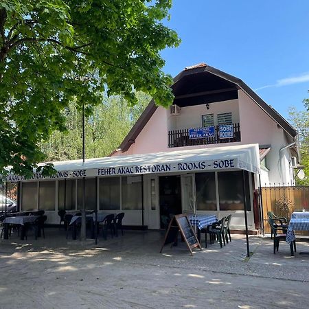 Feher Akac Guest House Palic Exterior photo